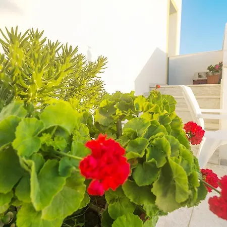 Arhontiko 3* Foiníkion