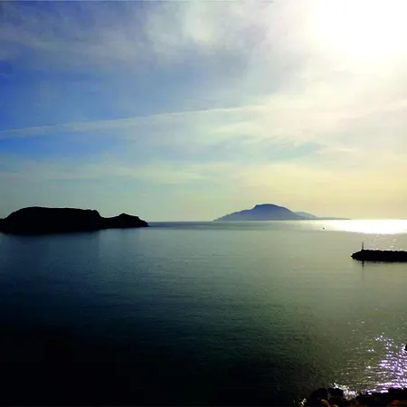 Arhontiko Foiníkion