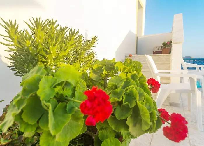 Arhontiko 3* Foiníkion